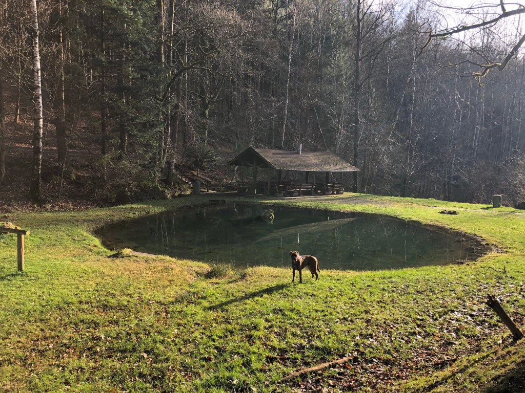 Liederbach  Grillhütte